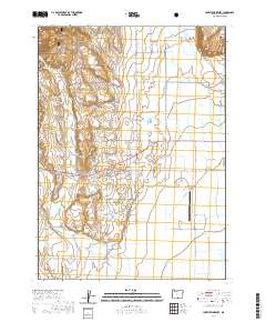 2020 Map of Lakeview Airport, 2020 Print