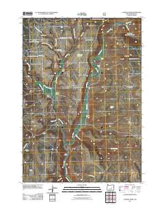 2011 Map of Landing Creek, 2011 Print
