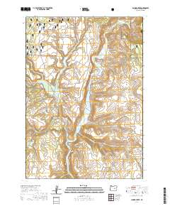 2020 Map of Landing Creek, 2020 Print