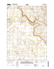 2014 Map of Lane Lake, 2014 Print