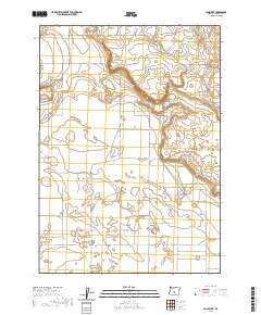 2020 Map of Lane Lake, 2020 Print