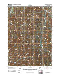 2011 Map of Lane Mountain, 2011 Print