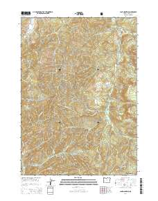 2014 Map of Lane Mountain, 2014 Print