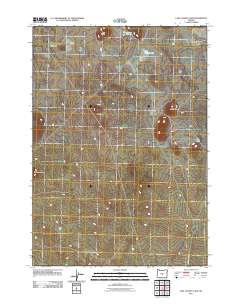 2011 Map of Last Chance Lake, 2011 Print