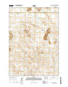 2014 Map of Last Chance Lake, 2014 Print