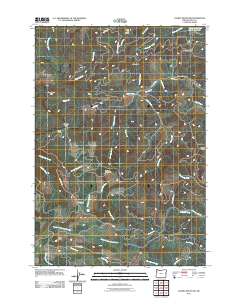 2011 Map of Laurel Mountain, 2011 Print