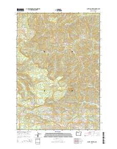 2014 Map of Laurel Mountain, 2014 Print
