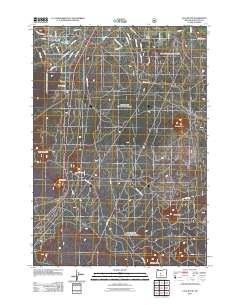 2011 Map of Lava Butte, 2011 Print