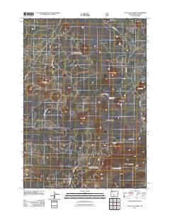 2011 Map of Lava Cast Forest, 2011 Print