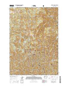 2014 Map of Lawhead Creek, 2014 Print