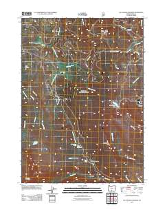 2011 Map of Lee Thomas Crossing, 2011 Print