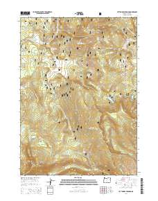 2014 Map of Lee Thomas Crossing, 2014 Print