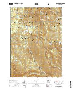 2020 Map of Lee Thomas Crossing, 2020 Print