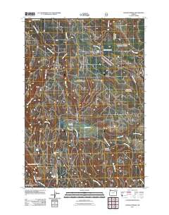 2011 Map of Lehman Springs, 2011 Print