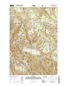 2014 Map of Lehman Springs, 2014 Print