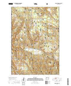 2020 Map of Lehman Springs, 2020 Print