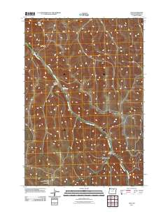 2011 Map of Lena, 2011 Print