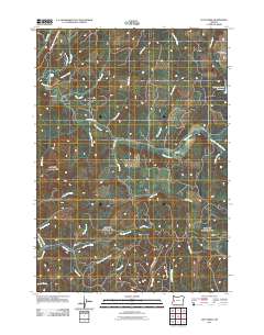 2011 Map of Letz Creek, 2011 Print