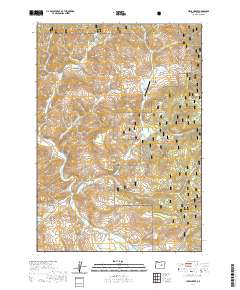 2020 Map of Lewis Creek, 2020 Print