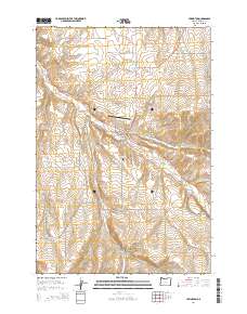 2014 Map of Lexington, 2014 Print