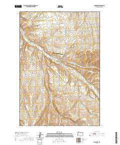 2020 Map of Lexington, 2020 Print