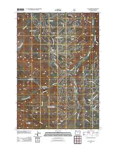 2011 Map of Lick Creek, 2011 Print