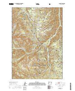 2020 Map of Lick Creek, 2020 Print