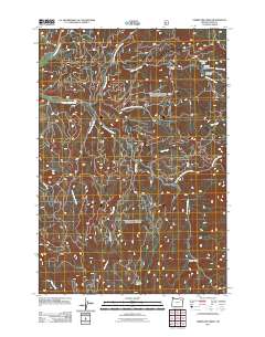 2011 Map of Limber Jim Creek, 2011 Print