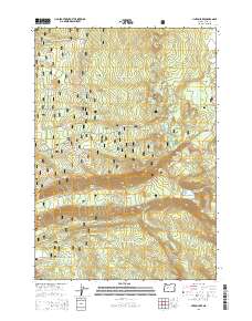 2014 Map of Linton Lake, 2014 Print