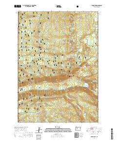 2020 Map of Linton Lake, 2020 Print