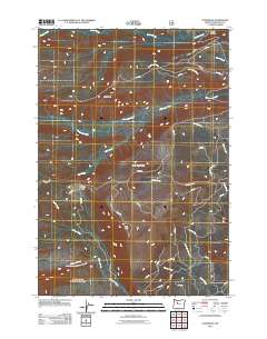 2011 Map of Lionshead, 2011 Print