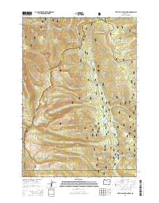 2014 Map of Little Baldy Mountain, 2014 Print