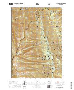 2020 Map of Little Baldy Mountain, 2020 Print