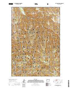 2020 Map of Little Beaver Creek, 2020 Print