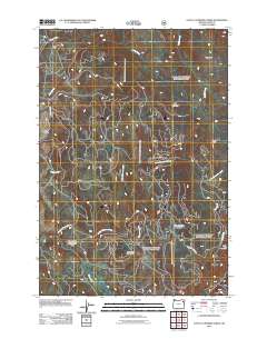 2011 Map of Little Catherine Creek, 2011 Print