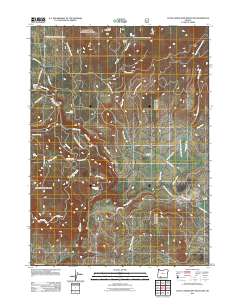 2011 Map of Little Chinquapin Mountain, 2011 Print