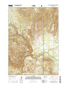 2014 Map of Little Chinquapin Mountain, 2014 Print