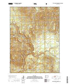 2020 Map of Little Chinquapin Mountain, 2020 Print