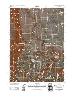 2011 Map of Little Honey Creek, 2011 Print