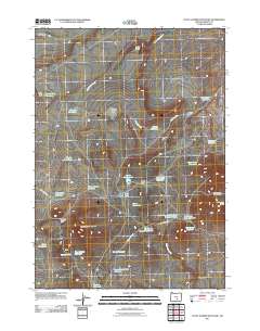2011 Map of Little Juniper Mountain, 2011 Print