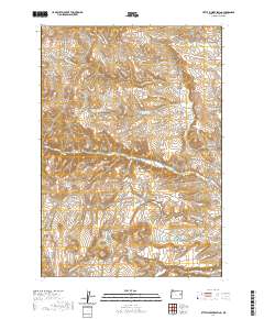 2020 Map of Little Juniper Spring, 2020 Print