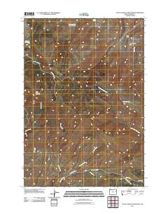 2011 Map of Little Lookout Mountain, 2011 Print