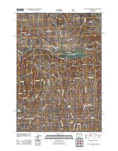 2011 Map of Little Summit Prairie, 2011 Print