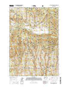2014 Map of Little Summit Prairie, 2014 Print
