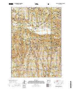2020 Map of Little Summit Prairie, 2020 Print