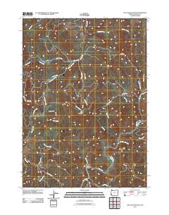 2011 Map of Live Oak Mountain, 2011 Print