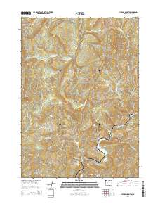 2014 Map of Live Oak Mountain, 2014 Print