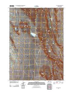 2011 Map of Loco Lake, 2011 Print