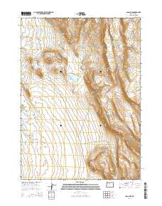 2014 Map of Loco Lake, 2014 Print