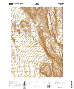 2020 Map of Loco Lake, 2020 Print